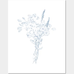 eucalyptus leaf and flower line drawing Posters and Art